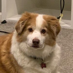 Meet your Posher, Colin